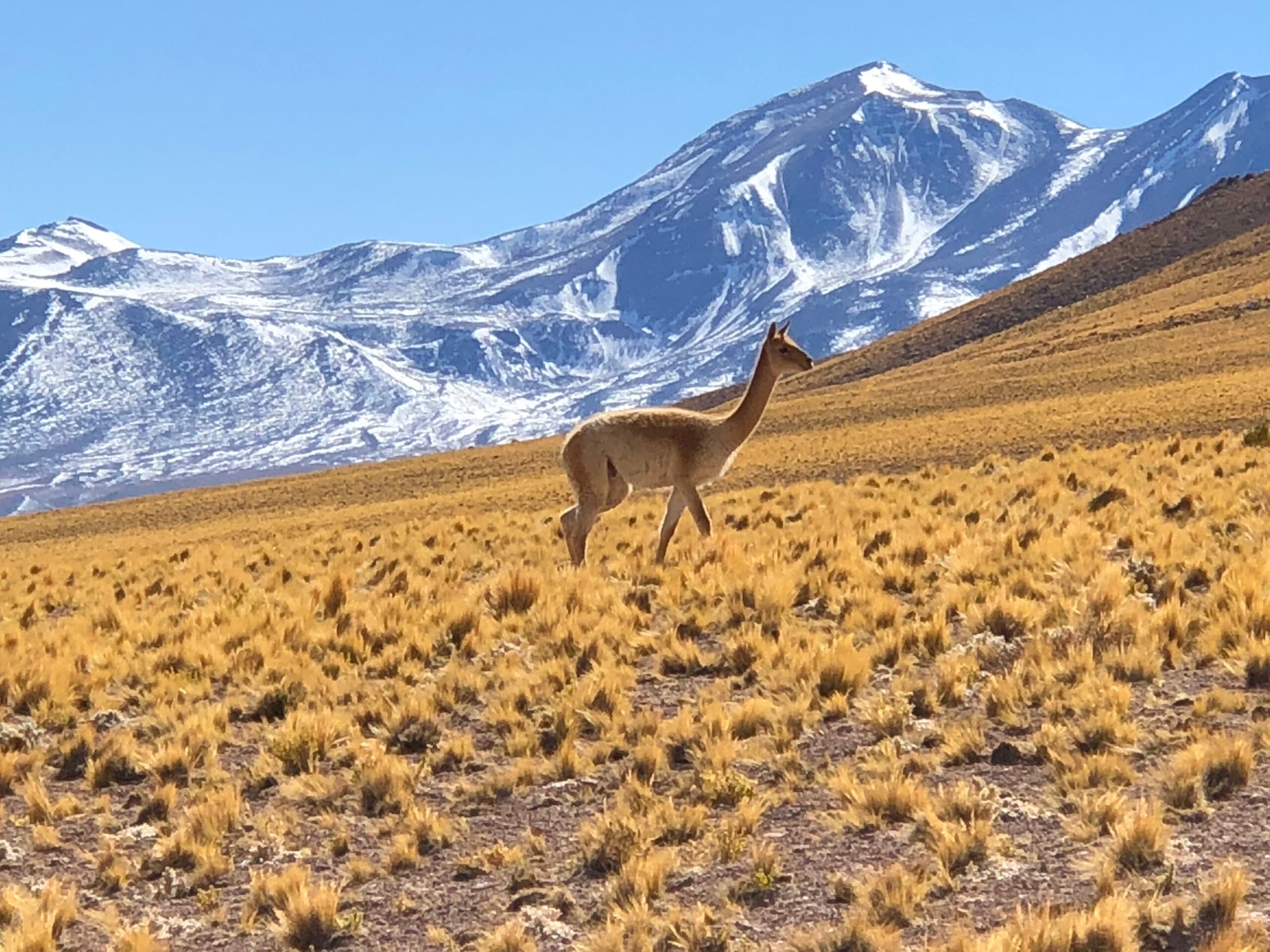 Beautiful,Landscape,At,Deserto,Do,Atacama