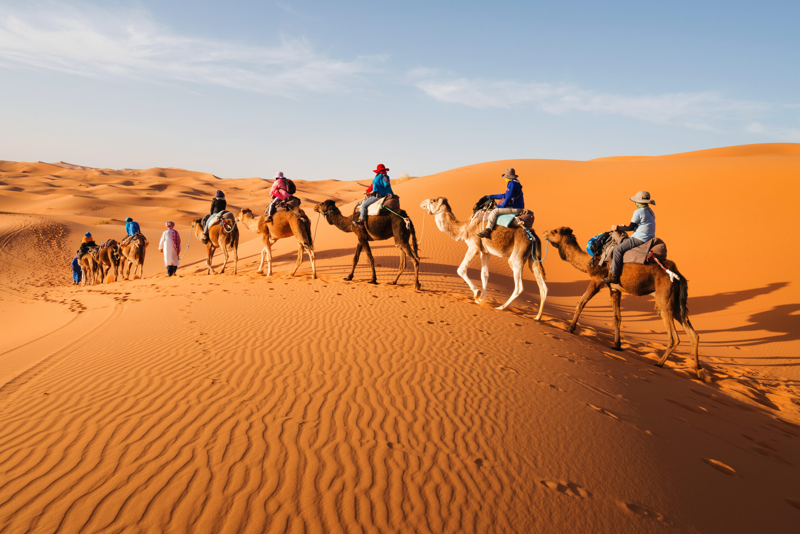 Caravan,Going,Through,The,Sand,Dunes,In,The,Sahara,Desert,